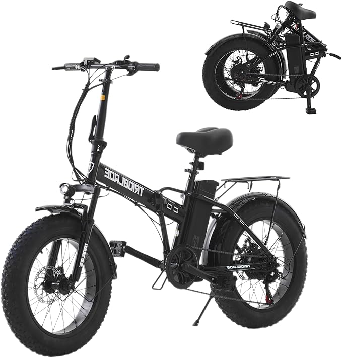 LSBIKE FAT TIRE ELECTRIC BIKE