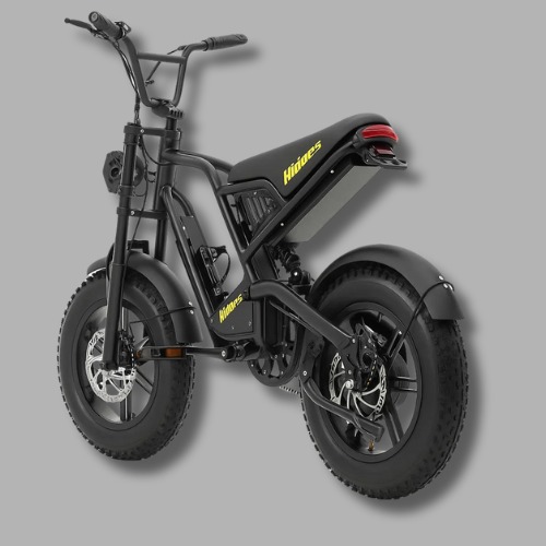 Hidoes® B6 Mini 16-Inch Fat-Tyre Electric Bike